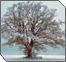 Seasons